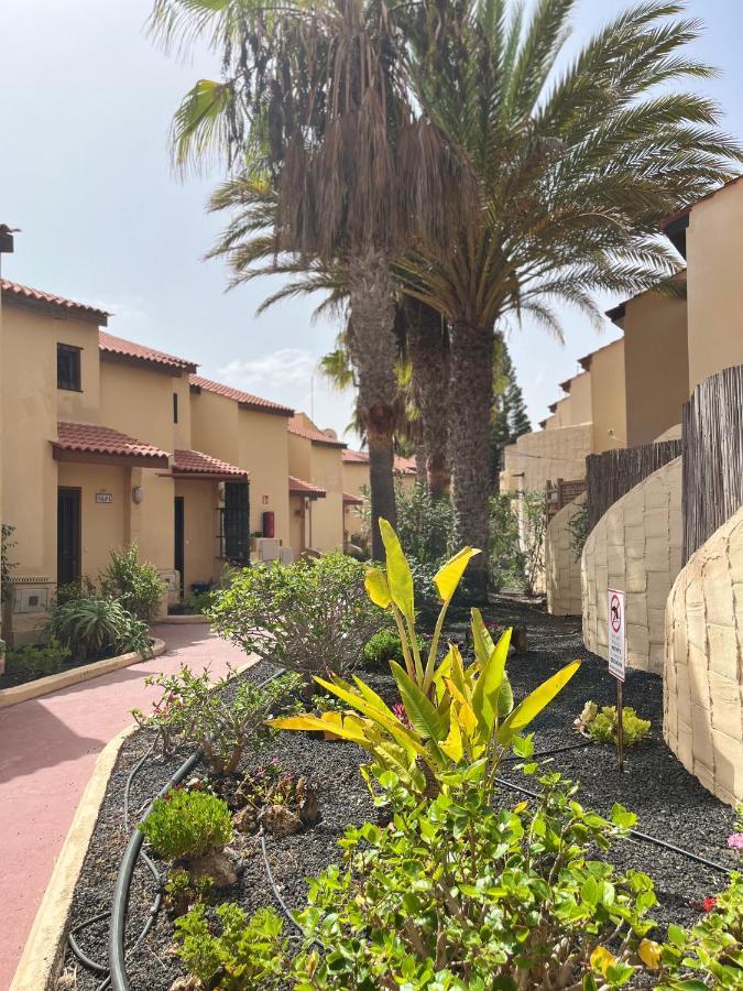 Surf & Chill Bungalow 69, Quiet Green Oasis With Community Swimmingpool Parque Holandes Exterior photo