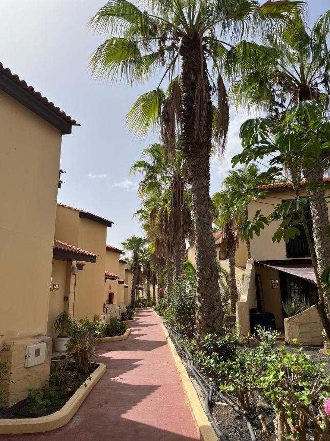 Surf & Chill Bungalow 69, Quiet Green Oasis With Community Swimmingpool Parque Holandes Exterior photo